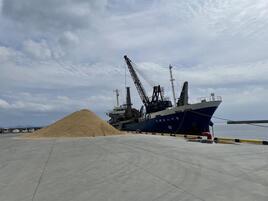 写真：本部港における砂船の積み卸しの様子