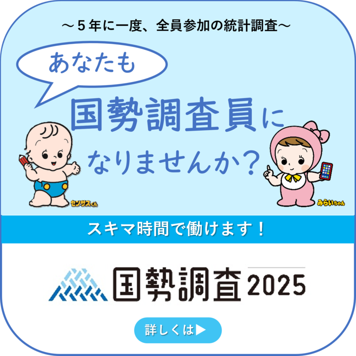 沖縄県　国勢調査　統計　調査員
