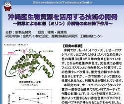 イラスト：沖縄産生物資源を活用する技術の開発