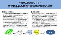 イラスト：琉球藍染料の製造と微生物に関する研究