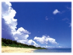 写真：空と海