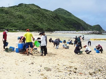 写真：第1回清掃の様子3