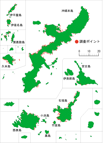 地図：沖縄県内の調査ポイント