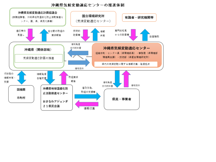 沖縄県における気候変動適応策推進体制