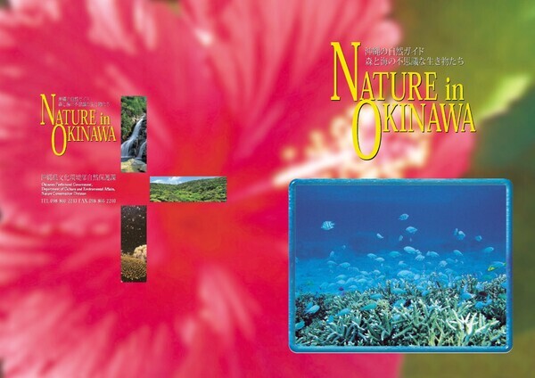 表紙の写真：Nature In Okinawa　沖縄の自然ガイド　森と海の不思議な生き物たち