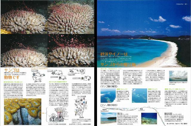 写真：「沖縄のサンゴ礁」普及啓発用ポスター