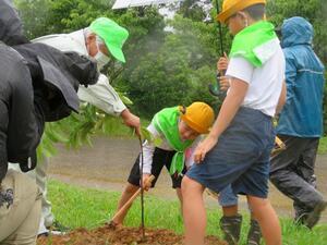 写真：第72回沖縄県植樹祭　植樹行事2