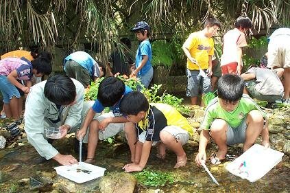 写真：水生生物調査