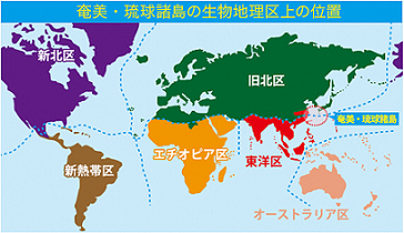 地図：奄美、琉球諸島の生物地理区上の位置