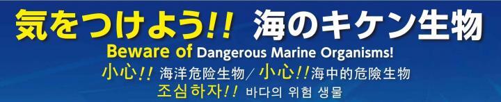 illust：Beware of Dangerous Marine Organisms