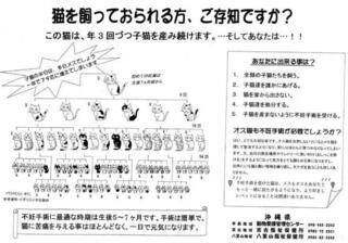 イラスト：猫を飼っておられる方、ご存じですか？