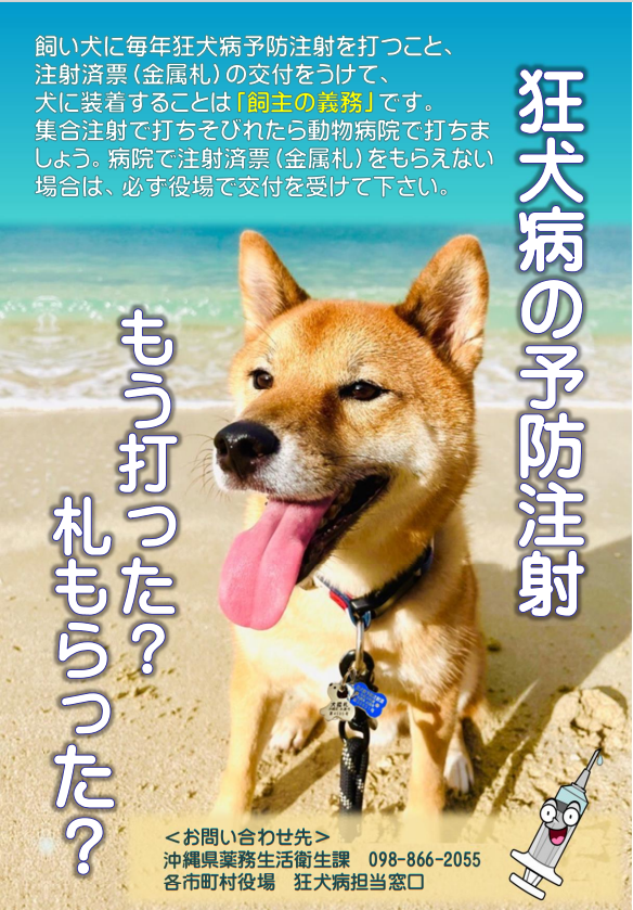犬の飼い主さんへ