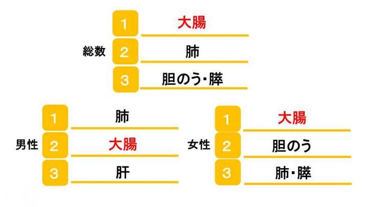 イラスト：宮古地区がん死亡部位別順位2