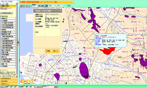 写真：沖縄県公開用地図情報システム