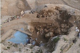 写真:白保竿根田原洞穴遺跡