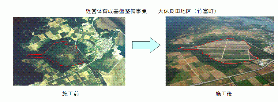 写真：経営体育成基盤整備事業　大保良田地区（竹富町）の施工前と施工後