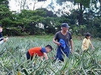 写真：交流会の様子1