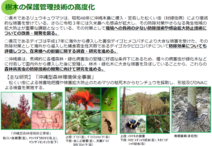 樹木の保護管理技術の高度化