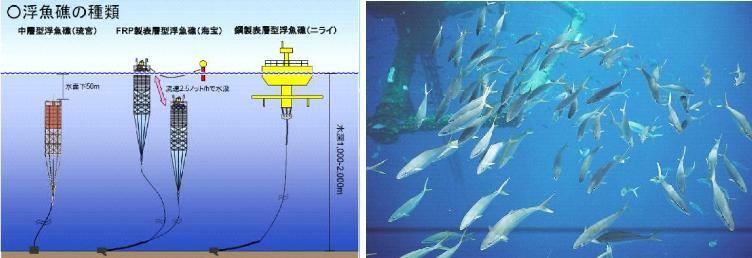 写真：浮魚礁の種類と浮魚礁に集まる魚