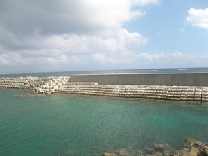 写真：安田漁港の復旧後