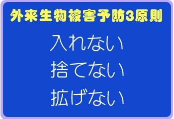 イラスト：外来生物被害予防3原則　入れない　捨てない　拡げない