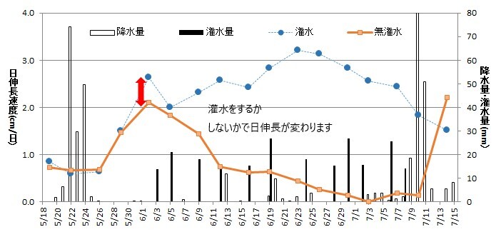 イラスト：かん水