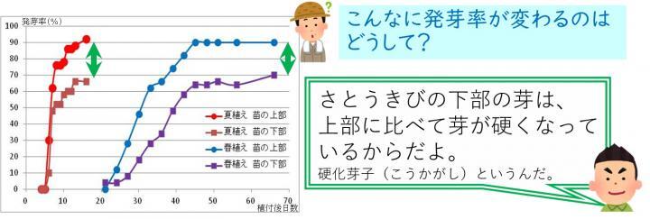 イラスト：苗の発芽率