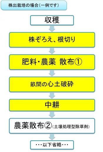 イラスト：株出栽培の一例