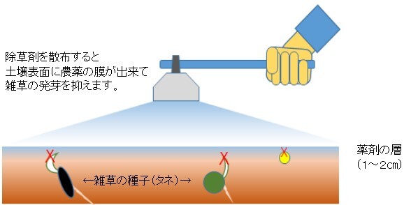 イラスト：除草剤を散布する土壌表面に農薬の膜が出来て雑草の発芽を抑えます