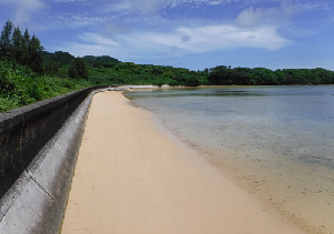 写真：美しい海岸