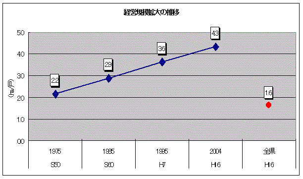 イラスト：八重山地域の経営規模の推移と全県との比較