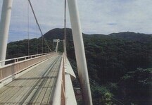 写真：セイシカの橋の様子