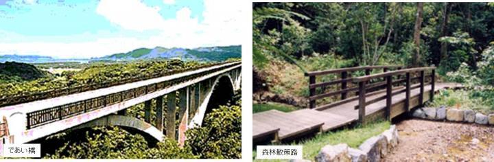 写真：であい橋、森林散策路