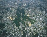 写真：浦添大公園上空