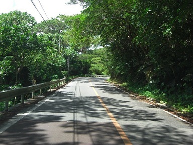 写真：新川工区