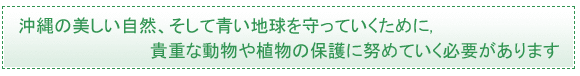 イラスト：沖縄の美しい自然、そして青い地球を守っていくために、貴重な動物や植物の保護に努めていく必要があります