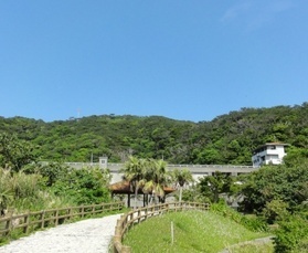 写真：下流広場の様子2