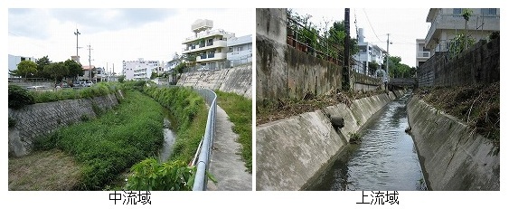 写真：安謝川（中流域、上流域）