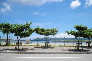 写真：臨港道路の様子