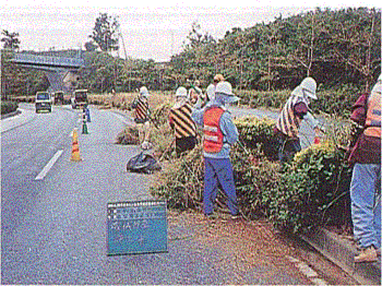 写真：植栽の剪定