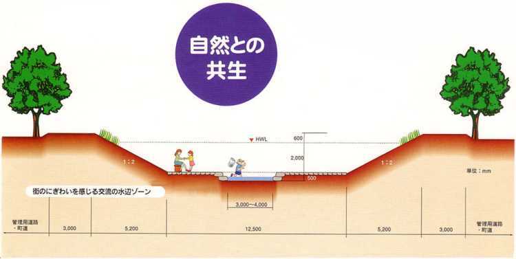 イラスト：自然との共生