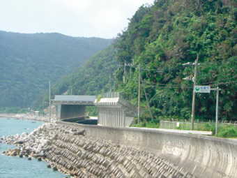 写真：名護市天仁屋の風景