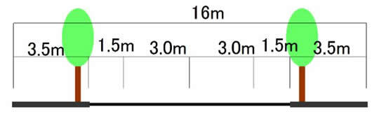 イラスト：街路樹の幅基準図1