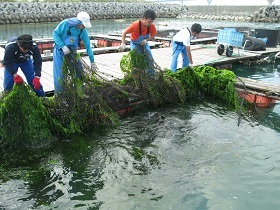 写真：網の交換