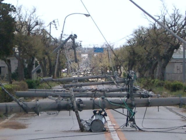 写真：倒壊した電柱の様子