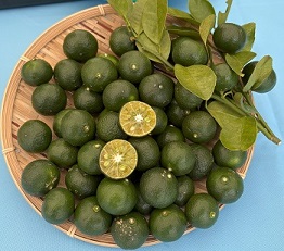 果樹班