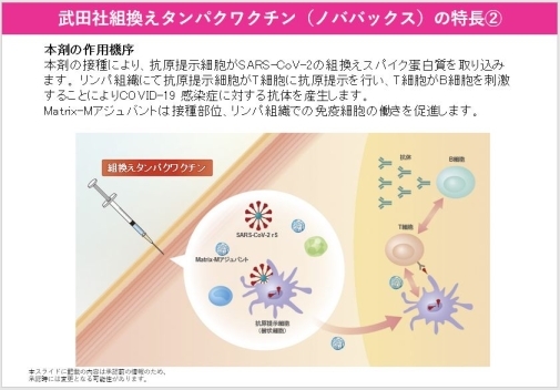 イラスト：武田社組換えタンパクワクチン（ノババックス）特長2