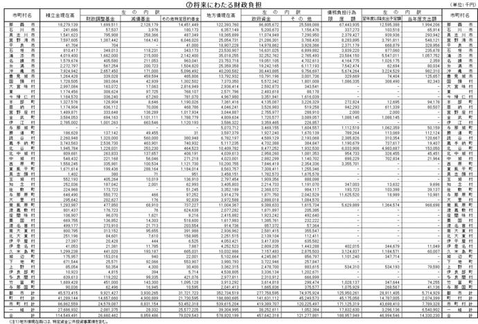 写真：平成16年度将来にわたる財政負担表