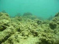 写真:海底の様子3