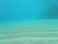 写真：海底の様子3